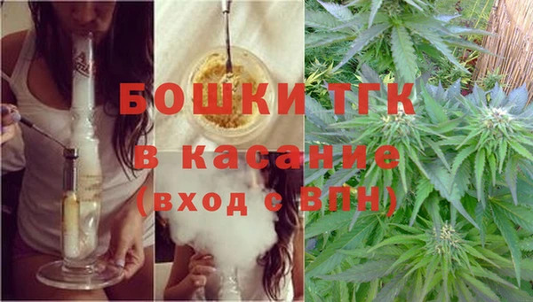 трава Магас