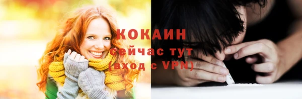 индика Лиски