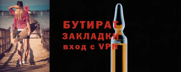 твердый Тайга