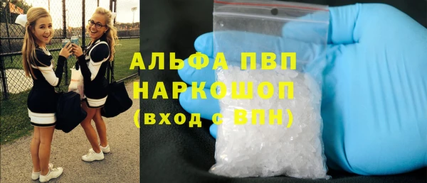 индика Лиски